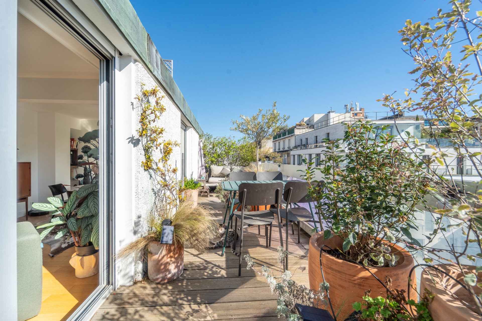 Terrasse ensoleillée avec table, chaises et végétation, vue sur les toits
